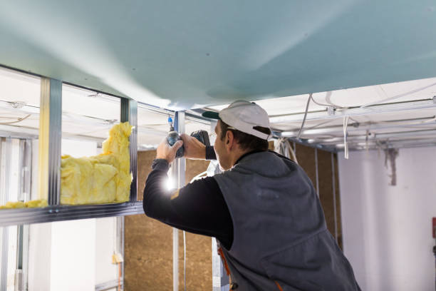 Best Commercial Insulation in St Robert, MO