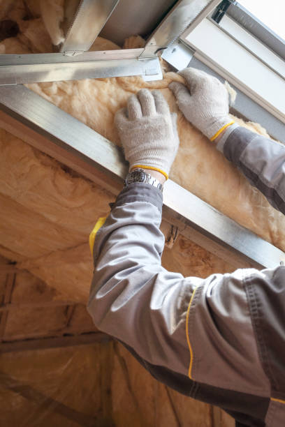 Professional Insulation Contractor in St Robert, MO