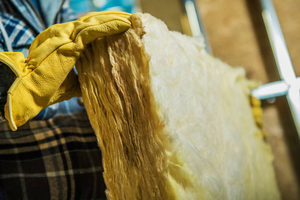 Best Eco-Friendly Insulation in St Robert, MO