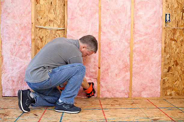 Best DIY Insulation Kits and Guidance in St Robert, MO