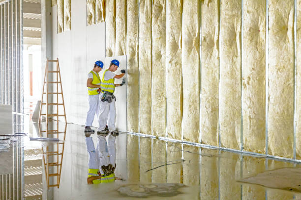 Best Specialized Insulation Services in St Robert, MO